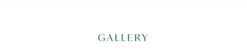 Gallery Title